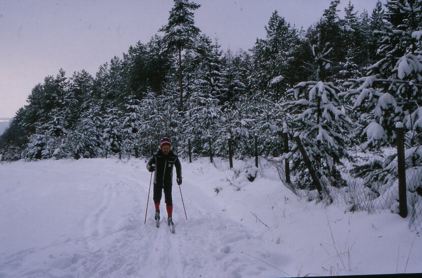 1981 Langlauf Gunthersried_0001