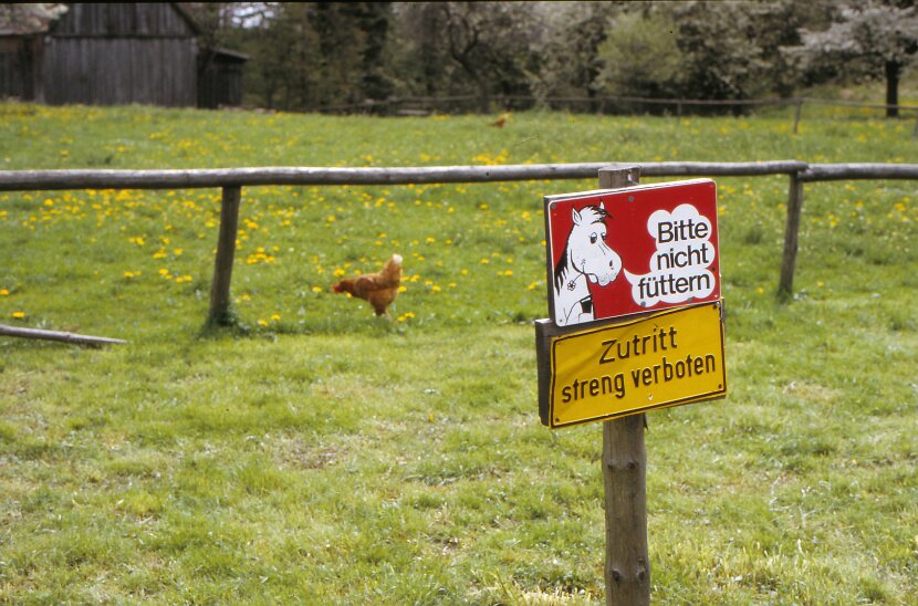 1982 Wanderung Kainsbach_0001