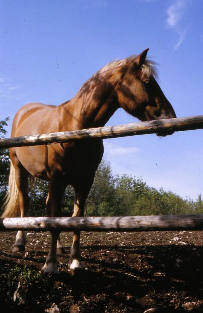 1982 Wanderung Kainsbach_0007