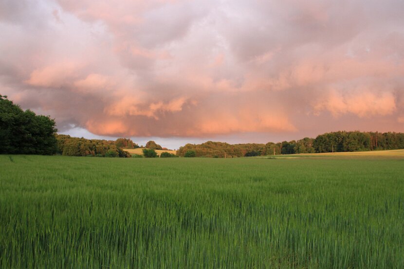 Zufahrtsweg Fieldday