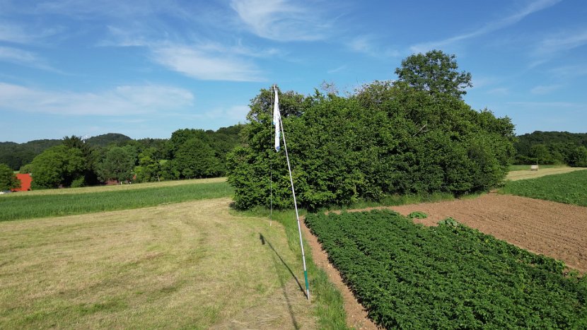 DJI_0650