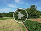 DJI_0650.mp4