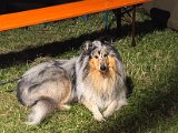 IMG_1568.JPG