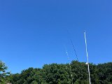 IMG_3334.jpg
