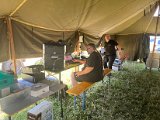 IMG_3338.jpg