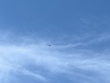 IMG_3349.jpg