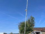 IMG_3375.jpg