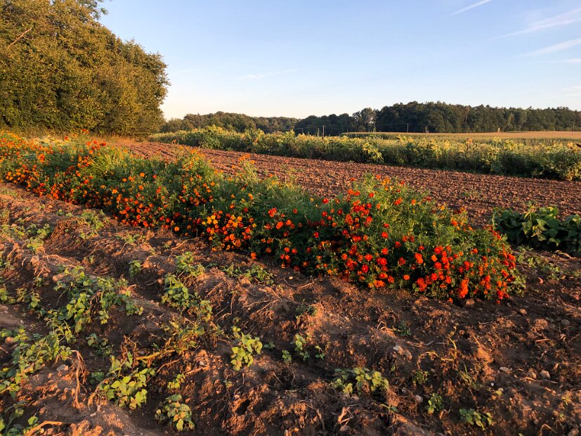 2025 SSB FD-Contest (9)